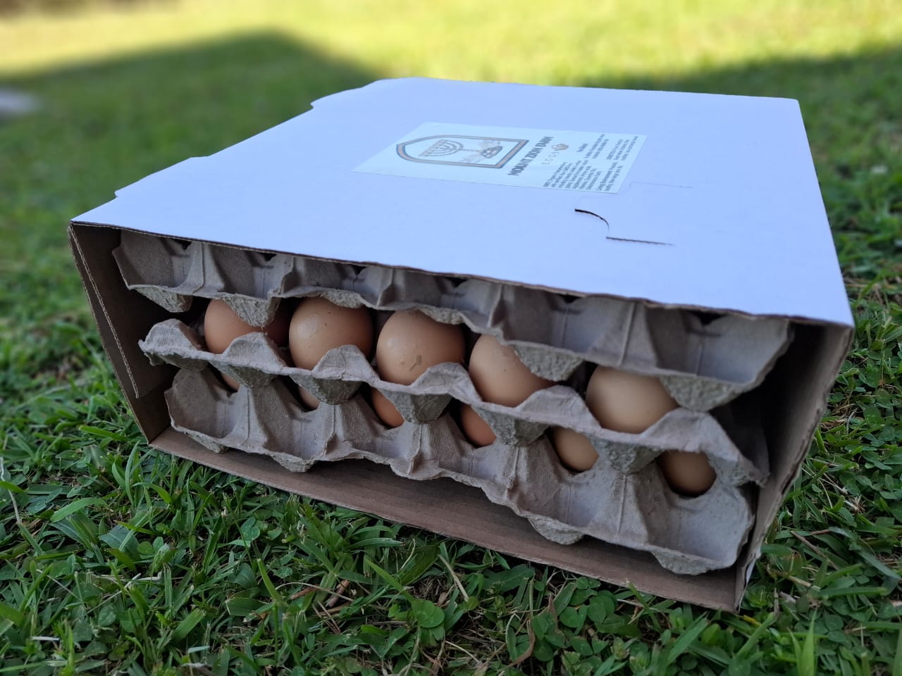 5 Dozen Egg Box